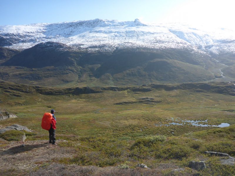 Una panoramica della tundra
