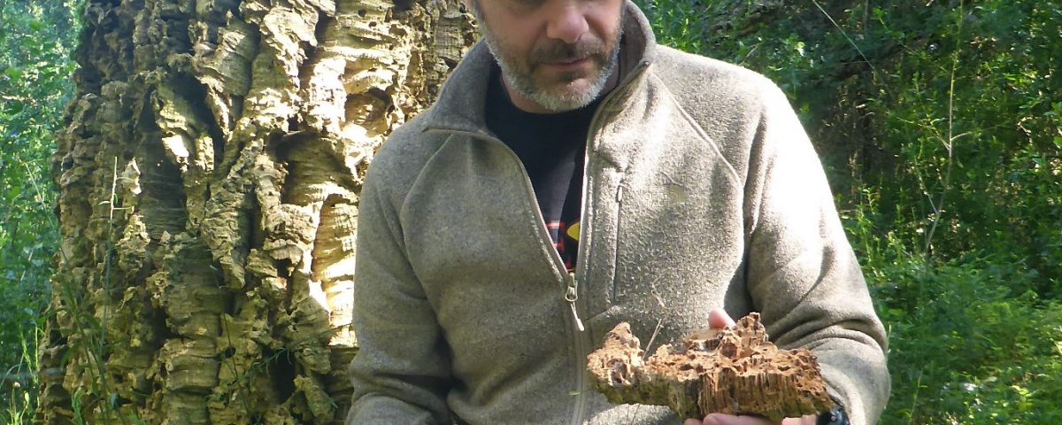 Il Naturalista Marco Marrosu mostra il sughero